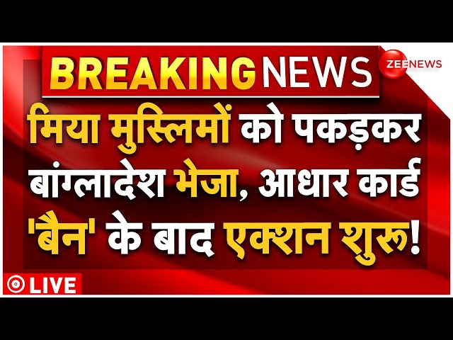 ⁣Hemanta Biswas Sharma Big Action On Muslims LIVE : मिया मुस्लिमों पर बड़ा एक्शन शुरू!| Assam Govt