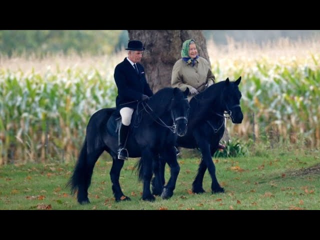 ⁣Queen Elizabeth's stud groom reveals insight into his relationship with the late monarch