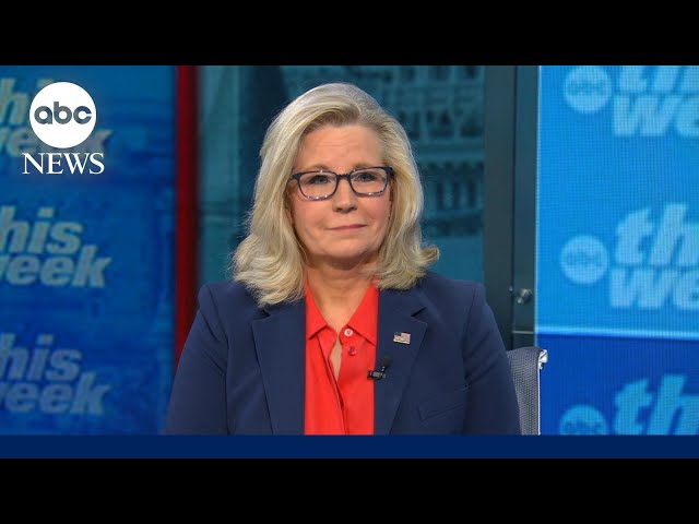 ⁣‘It's important for people to recognize he's not a conservative’: Liz Cheney on Trump