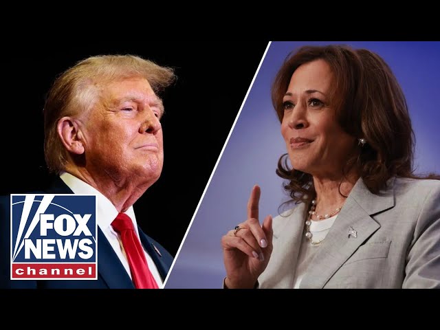 ⁣Trump will expose Kamala Harris' 'fundamental problem': Jason Chaffetz