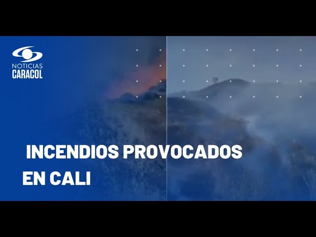 ⁣Incendios forestales en Cali fueron provocados por invasores, según investigaciones