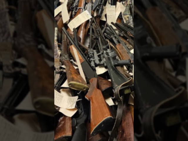 ⁣Ontario police traffic stop leads to seizure of over 200 firearms