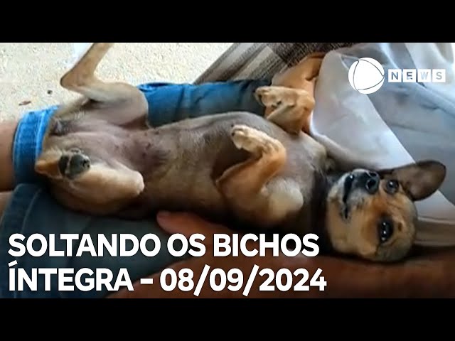 Soltando os Bichos - 08/09/2024