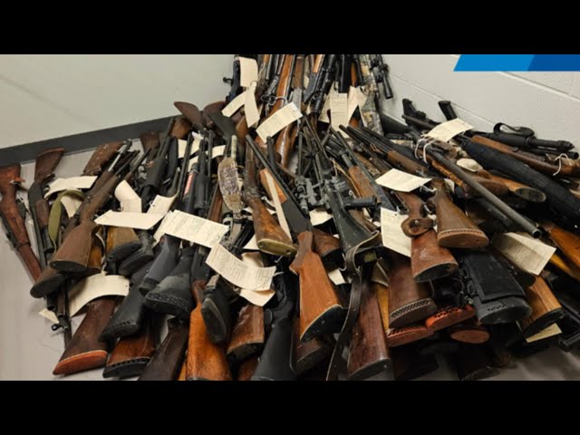 ⁣Ontario police traffic stop leads to seizure of over 200 firearms