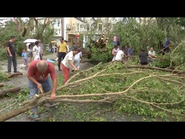 ⁣Hainan accelerates post-disaster recovery efforts