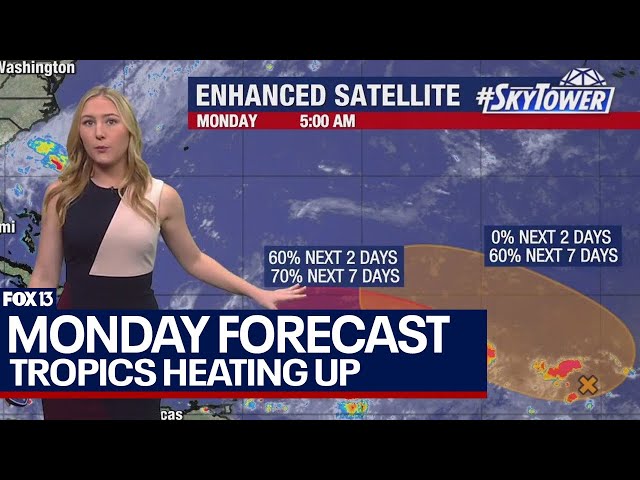 ⁣Tampa weather | tropics heating up in the Gulf