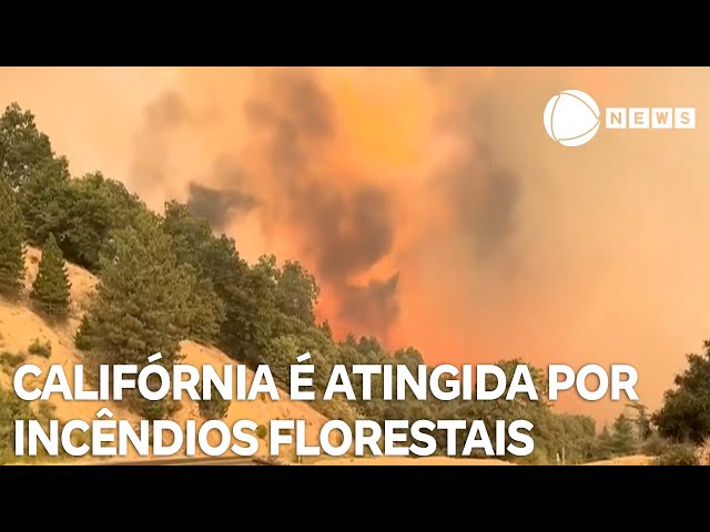 ⁣Incêndios florestais afetam o estado da Califórnia, nos Estados Unidos