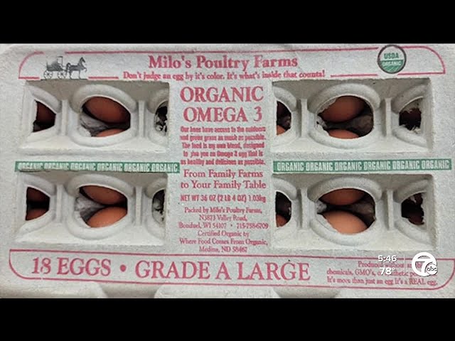 ⁣Eggs sold in Michigan tied to salmonella outbreak, 65 sickened in 9 states