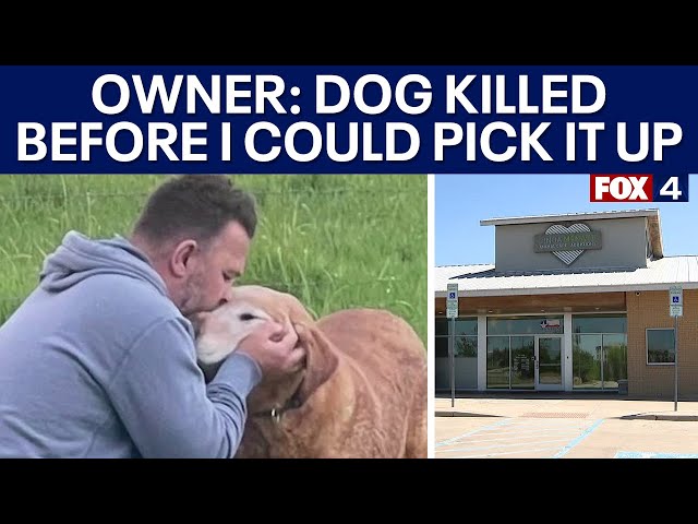 ⁣Denton County man heartbroken after missing dog is euthanized at city shelter