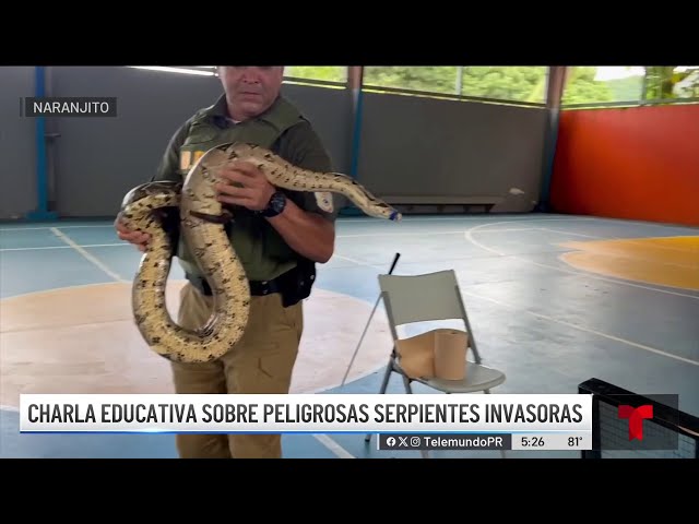 ⁣Orientan a estudiantes de Naranjito sobre peligrosas serpientes invasoras