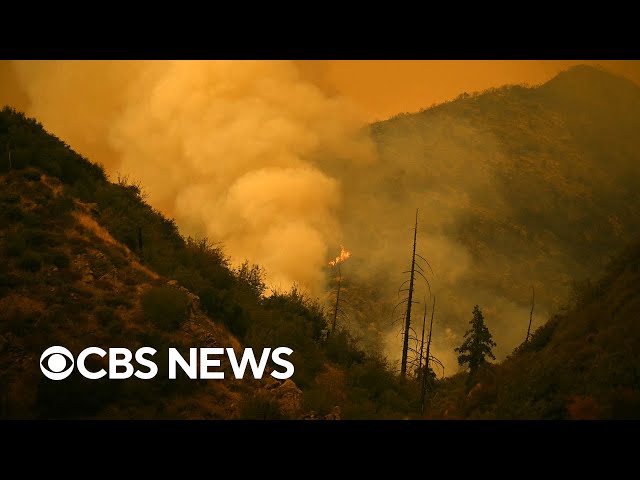 ⁣Western heat wave fuels wildfires, Apple unveils iPhone 16 and more | The Daily Report