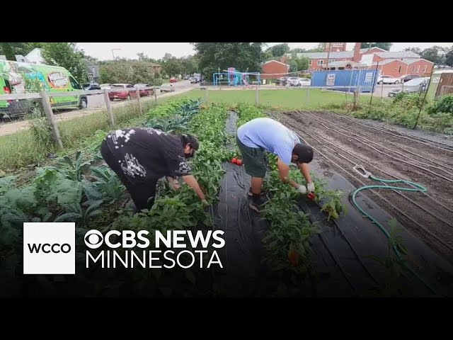 ⁣Urban Roots works to end St. Paul food deserts