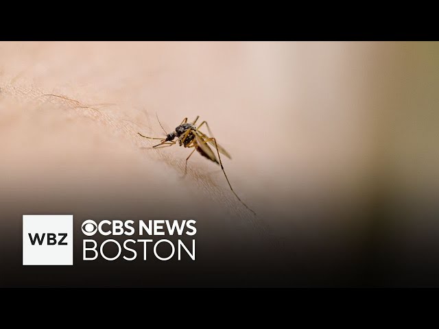 ⁣Fourth human EEE case announced in Massachusetts