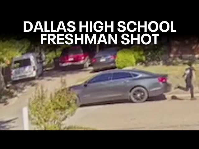 ⁣South Oak Cliff High School freshman girl shot at park across campus