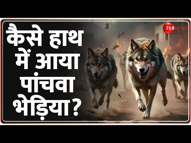 ⁣Fifth Wolf Caught in Bahraich: कैसे हाथ में आया पांचवा भेड़िया? | Wolf Attack in Uttar Pradesh