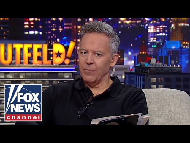 ⁣Gutfeld: Democrats are panicking