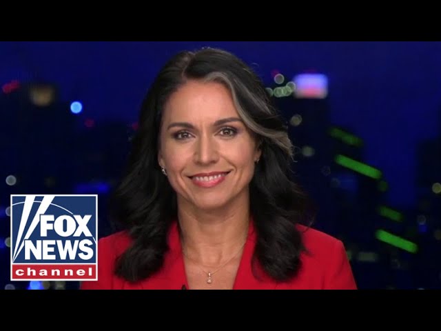 ⁣Tulsi Gabbard: Kamala Harris was treated with 'kid gloves'