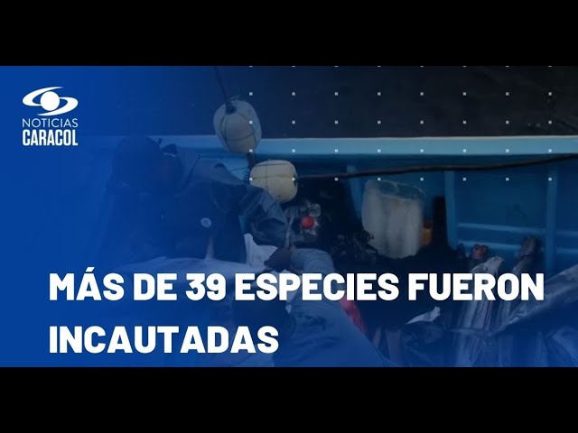 ⁣La Armada Nacional incautó una tonelada de pesca ilegal en Buenaventura