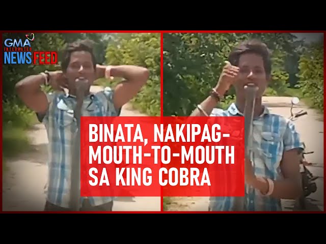 ⁣Binata, nakipag-mouth-to-mouth sa king cobra | GMA Integrated Newsfeed