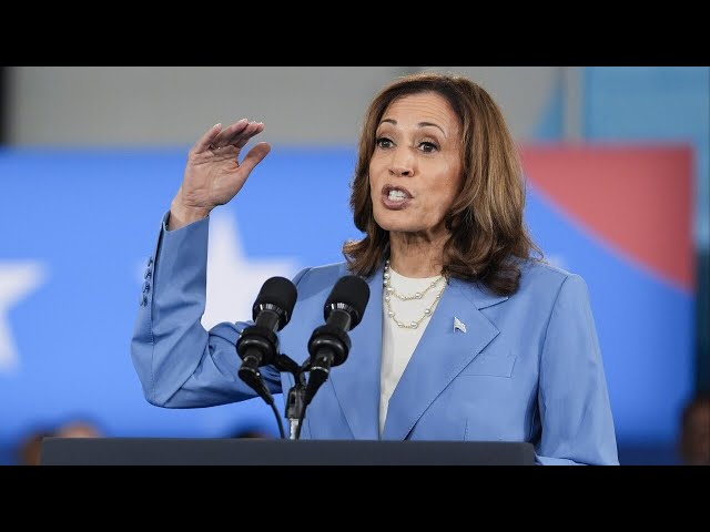 ⁣Kamala Harris’ momentum seems to be ‘falling’