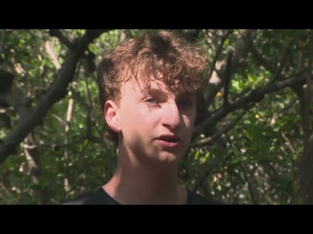 ⁣South Florida man plants mangroves to repair damage done strong storms