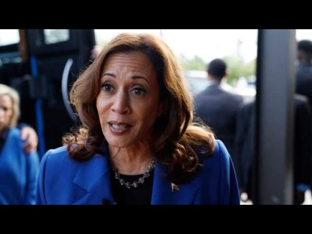 ‘Bizarre’: Americans ‘barely know’ who Kamala Harris is