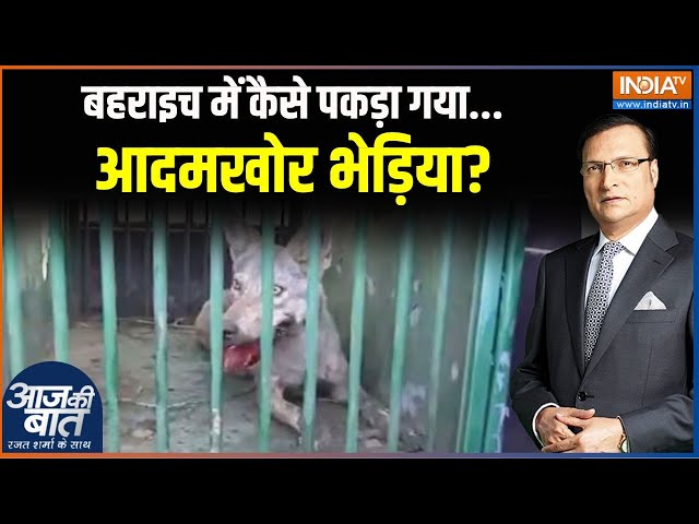 ⁣Wolf Terror Attack: बहराइच में कैसे पकड़ा गया आदमखोर भेड़िया? | Bhediya | Wolves