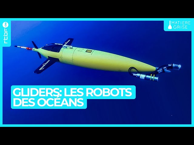 ⁣Gliders : les robots des océans qui plongent à 1000 mètres de profondeur - Matière Grise