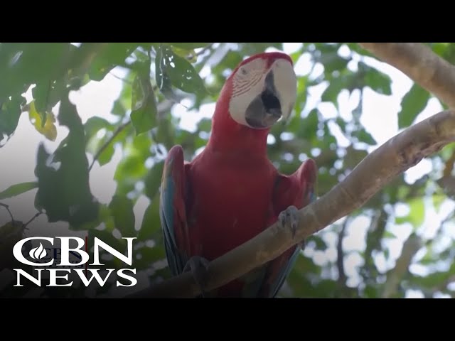 ⁣Revival Grips Brazil's Amazon: 'We Baptized 14,500 People'