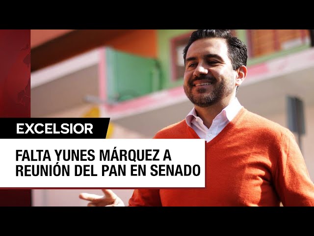 ⁣Sin rastro de Yunes Márquez a horas de votar reforma judicial