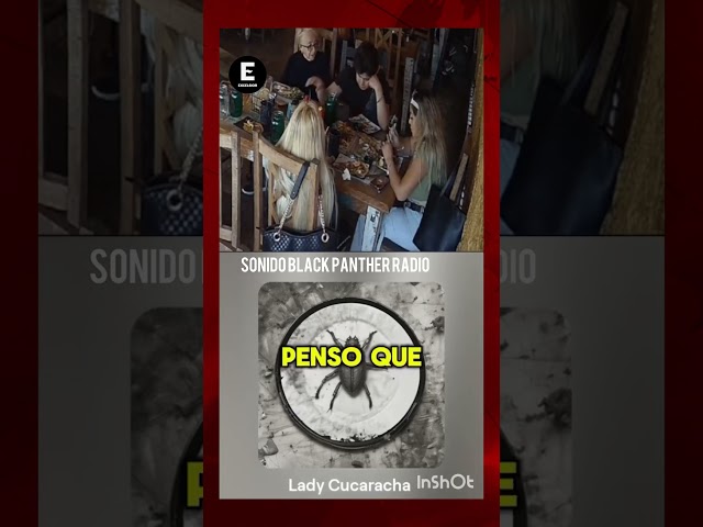 ⁣Lady Cucaracha es ‘quemada’ en redes y hasta tiene canción