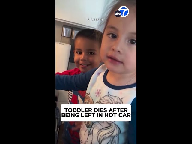 ⁣Toddler dies after being left in a hot car