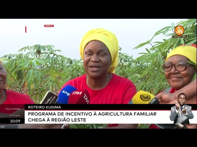 ⁣Mandioca e Milho - Produção aumenta no Moxico