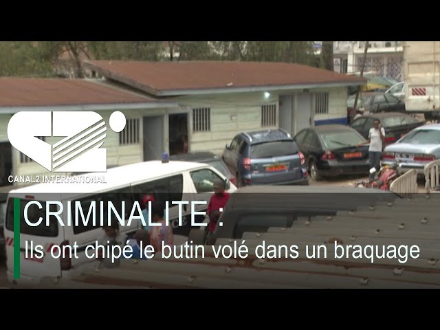 ⁣CRIMINALITE : Ils ont chipé le butin volé dans un braquage