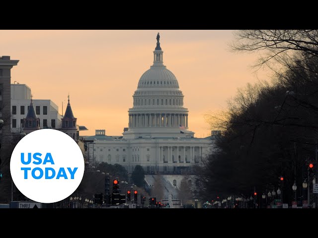 ⁣What we know now about key non-presidential races this November | USA TODAY