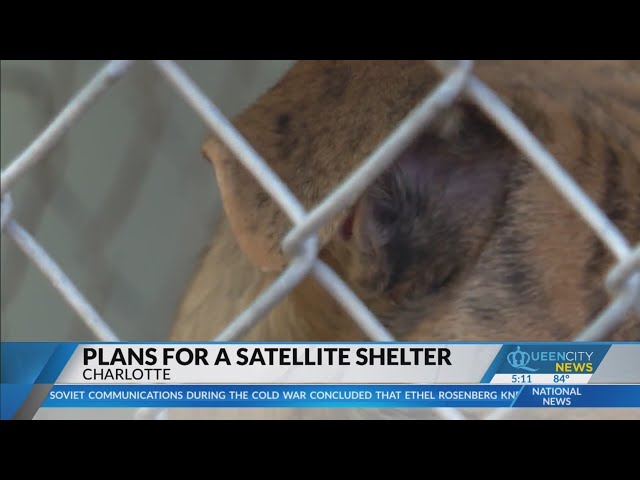 ⁣New Charlotte animal shelter could help capacity issues