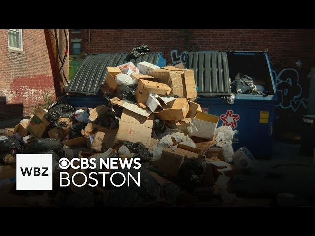 ⁣As trash piles up behind Brookline restaurants, city levels fines