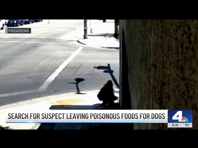 ⁣Search for suspect leaving toxic foods for dogs in Pasadena