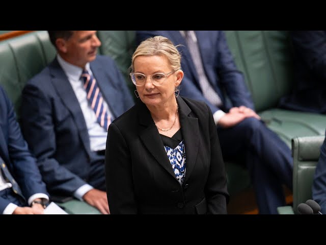 ‘We trust parents’: Sussan Ley hits back at Labor over new super proposal