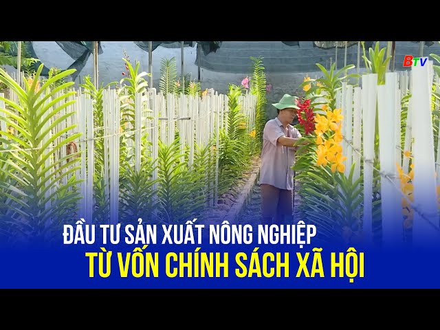 ⁣Đầu tư sản xuất nông nghiệp từ vốn chính sách xã hội