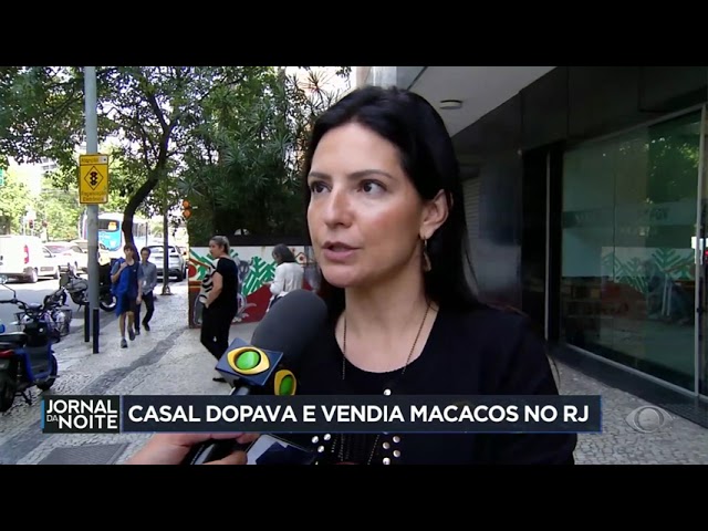 ⁣Casal dopava e vendia macacos no RJ