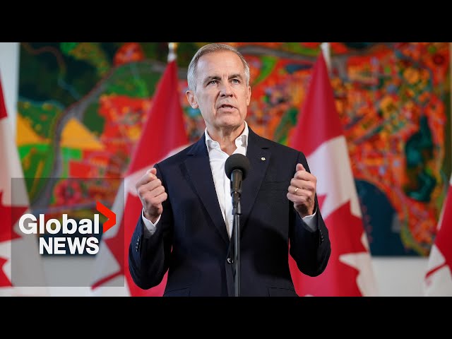 ⁣“We need solutions”: Mark Carney hopes to reverse Liberals' fortunes