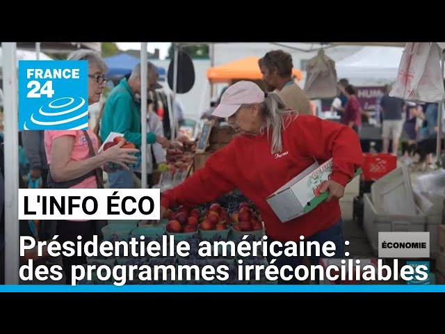 ⁣Kamala Harris / Donald Trump : des programmes économiques diamétralement opposés • FRANCE 24