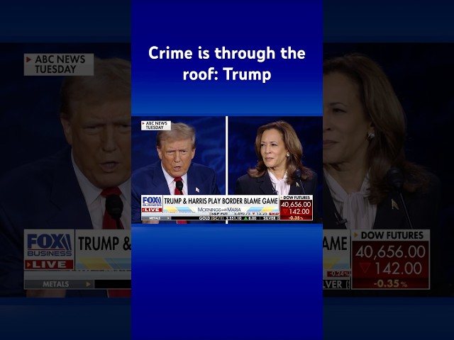 ⁣She was the border czar, remember that? Trump calls out Harris mishap during debate #shorts