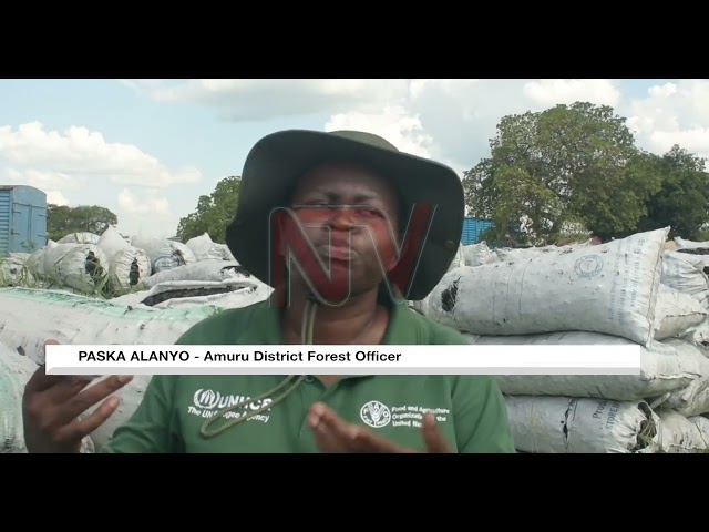 ⁣Thousands of charcoal bags impounded recently have been auctioned