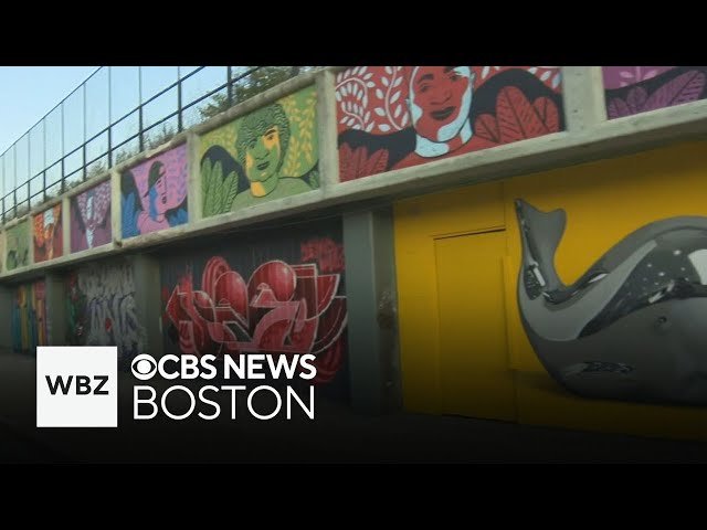 ⁣Massachusetts non-profit celebrating community with murals in diverse communities