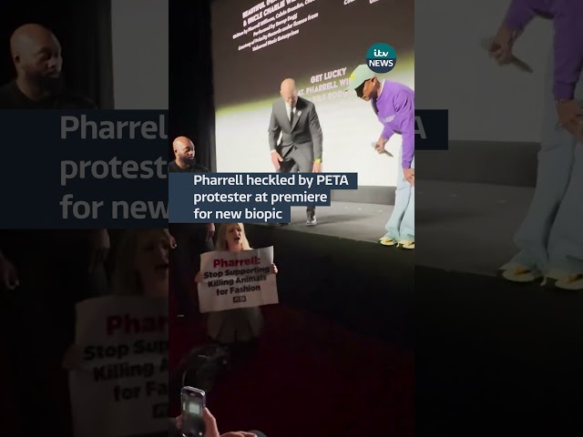 ⁣Pharrell heckled by PETA protester at premiere for new biopic #itvnews