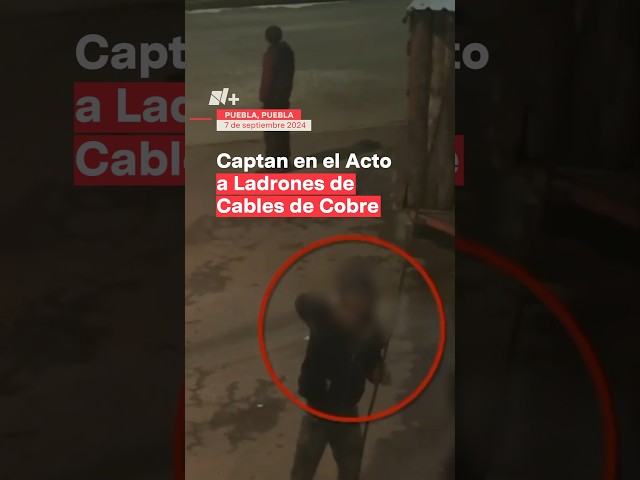 ⁣Captan a ladrones de cables de cobre en Puebla #nmas #puebla #shorts