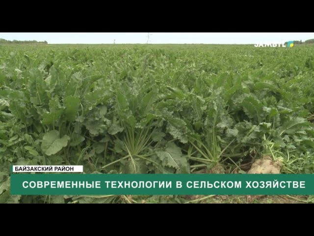 ⁣Современные технологии в сельском хозяйстве