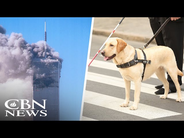 ⁣Blind Man's Miraculous Escape From the World Trade Center